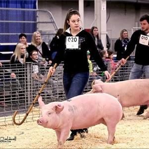 Meet your Posher, Hannah